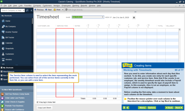 Learn how to work with Timesheets in Professor Teaches training.