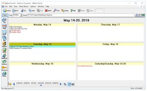 AnyTime® Organizer Standard | Individual Software