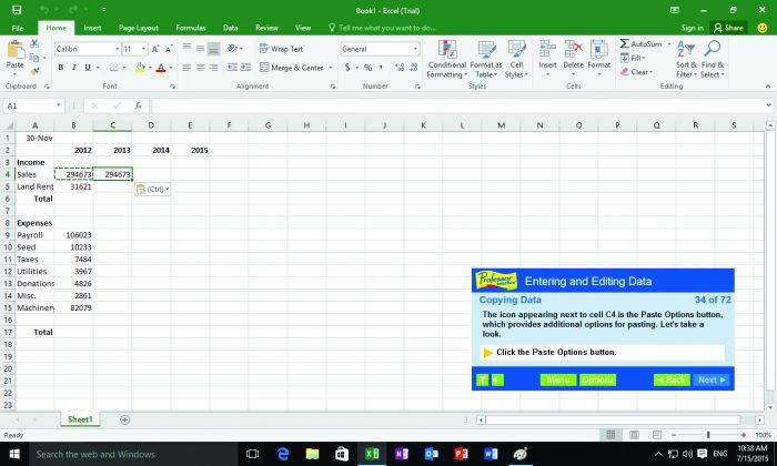 Professor Teaches Excel 2016 will teach you how to enter and edit data.