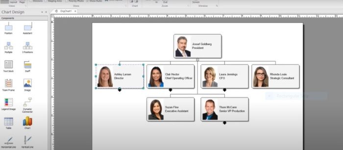 Easily add employee photographs to your organizational charts.